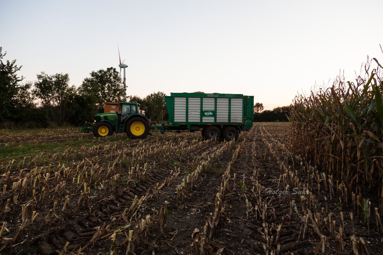 Bild 33 - Maisernte am 11.10.12